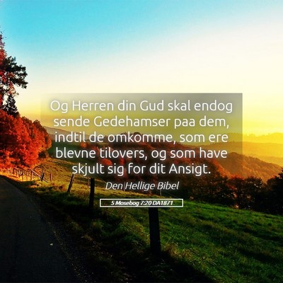 Picture 05 - 5 Mosebog 7:20 DA1871 - Og Herren din Gud skal endog sende Gedehamser paa - Bible Verse Picture