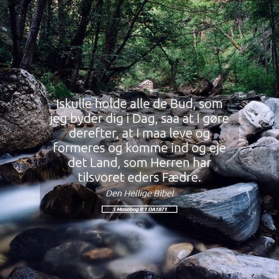 Picture 05 - 5 Mosebog 8:1 DA1871 - Iskulle holde alle de Bud, som jeg byder dig i - Bible Verse Picture