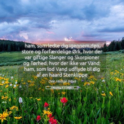 Picture 05 - 5 Mosebog 8:15 DA1871 - ham, som ledte dig igennem den store og - Bible Verse Picture