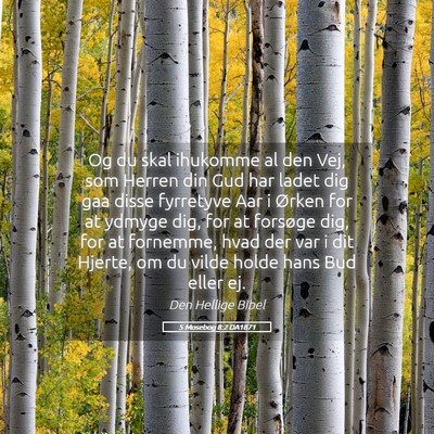 Picture 05 - 5 Mosebog 8:2 DA1871 - Og du skal ihukomme al den Vej, som Herren din - Bible Verse Picture