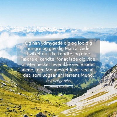 Picture 05 - 5 Mosebog 8:3 DA1871 - Og han ydmygede dig og lod dig hungre og gav dig - Bible Verse Picture