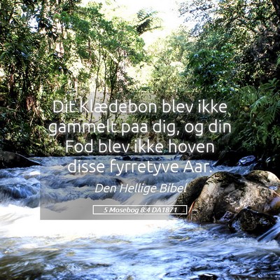Picture 05 - 5 Mosebog 8:4 DA1871 - Dit Klædebon blev ikke gammelt paa dig, og din - Bible Verse Picture