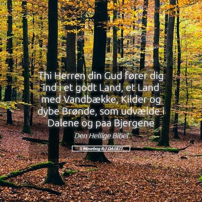 Picture 05 - 5 Mosebog 8:7 DA1871 - Thi Herren din Gud fører dig ind i et godt Land, - Bible Verse Picture