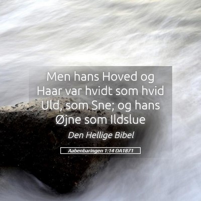 Picture 05 - Aabenbaringen 1:14 DA1871 - Men hans Hoved og Haar var hvidt som hvid Uld, - Bible Verse Picture