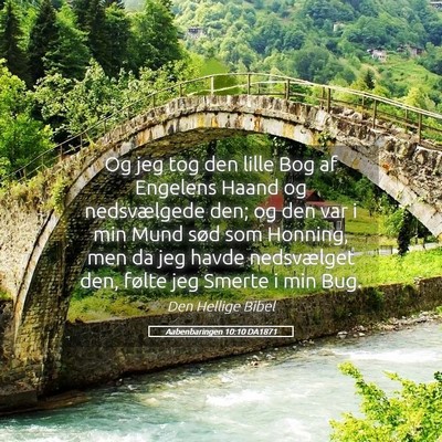 Picture 05 - Aabenbaringen 10:10 DA1871 - Og jeg tog den lille Bog af Engelens Haand og - Bible Verse Picture