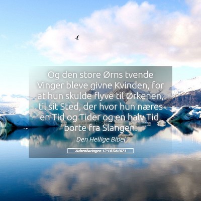 Picture 05 - Aabenbaringen 12:14 DA1871 - Og den store Ørns tvende Vinger bleve givne - Bible Verse Picture