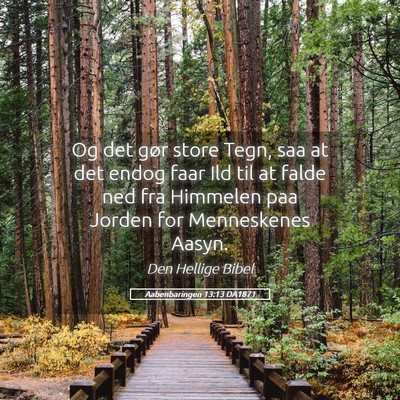 Picture 05 - Aabenbaringen 13:13 DA1871 - Og det gør store Tegn, saa at det endog faar Ild - Bible Verse Picture