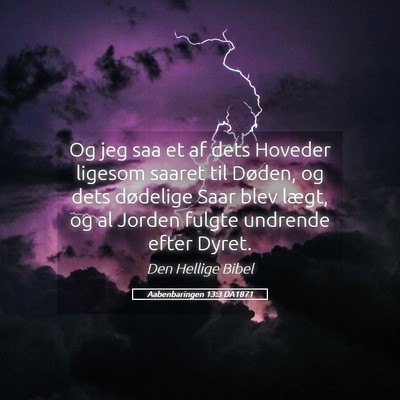 Picture 05 - Aabenbaringen 13:3 DA1871 - Og jeg saa et af dets Hoveder ligesom saaret til - Bible Verse Picture