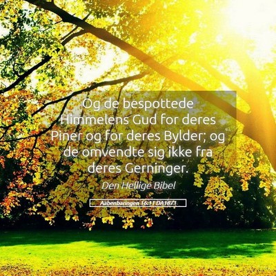 Picture 05 - Aabenbaringen 16:11 DA1871 - Og de bespottede Himmelens Gud for deres Piner og - Bible Verse Picture