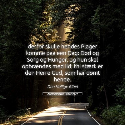Picture 05 - Aabenbaringen 18:8 DA1871 - derfor skulle hendes Plager komme paa een Dag: - Bible Verse Picture
