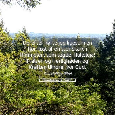 Picture 05 - Aabenbaringen 19:1 DA1871 - Derefter hørte jeg ligesom en høj Røst af en - Bible Verse Picture