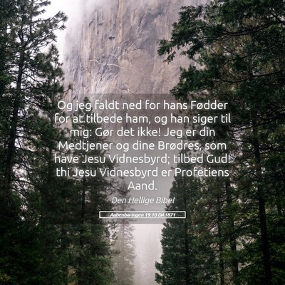 Picture 05 - Aabenbaringen 19:10 DA1871 - Og jeg faldt ned for hans Fødder for at tilbede - Bible Verse Picture