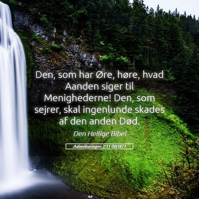 Picture 05 - Aabenbaringen 2:11 DA1871 - Den, som har Øre, høre, hvad Aanden siger til - Bible Verse Picture