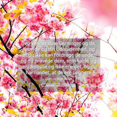 Picture 05 - Aabenbaringen 2:2 DA1871 - Jeg kender dine Gerninger og dit Arbejde og din - Bible Verse Picture