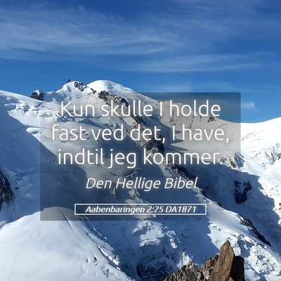Picture 05 - Aabenbaringen 2:25 DA1871 - Kun skulle I holde fast ved det, I have, indtil - Bible Verse Picture