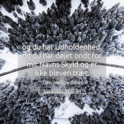 Picture 05 - Aabenbaringen 2:3 DA1871 - og du har Udholdenhed, og du har døjet ondt for - Bible Verse Picture