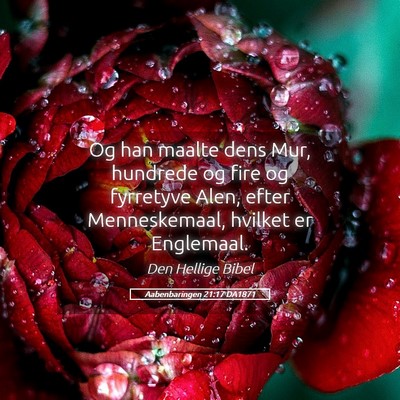 Picture 05 - Aabenbaringen 21:17 DA1871 - Og han maalte dens Mur, hundrede og fire og - Bible Verse Picture