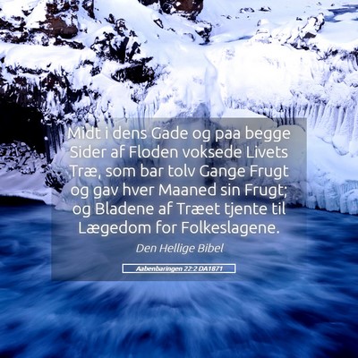 Picture 05 - Aabenbaringen 22:2 DA1871 - Midt i dens Gade og paa begge Sider af Floden - Bible Verse Picture