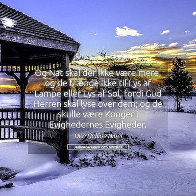 Picture 05 - Aabenbaringen 22:5 DA1871 - Og Nat skal der ikke være mere, og de trænge - Bible Verse Picture