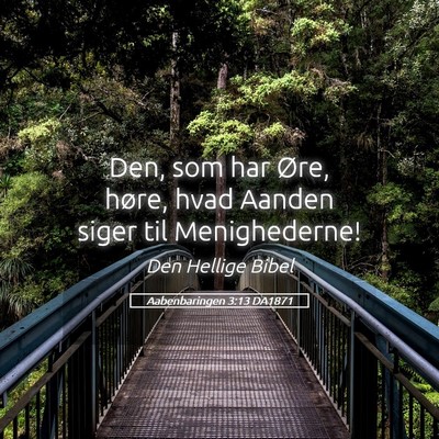 Picture 05 - Aabenbaringen 3:13 DA1871 - Den, som har Øre, høre, hvad Aanden siger til - Bible Verse Picture