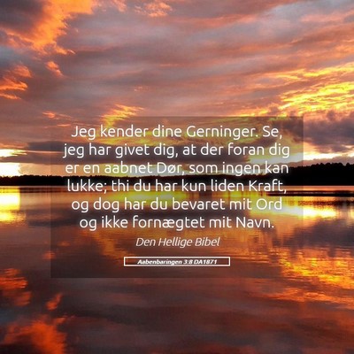 Picture 05 - Aabenbaringen 3:8 DA1871 - Jeg kender dine Gerninger. Se, jeg har givet dig, - Bible Verse Picture