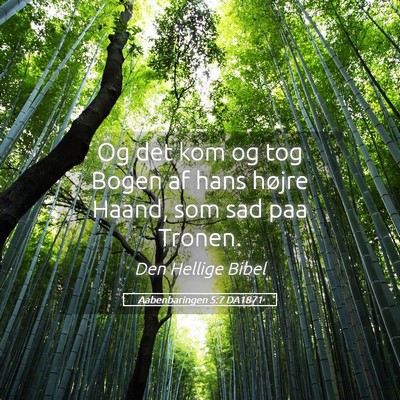 Picture 05 - Aabenbaringen 5:7 DA1871 - Og det kom og tog Bogen af hans højre Haand, som - Bible Verse Picture