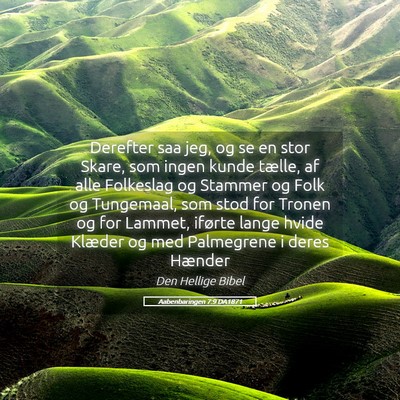 Picture 05 - Aabenbaringen 7:9 DA1871 - Derefter saa jeg, og se en stor Skare, som ingen - Bible Verse Picture