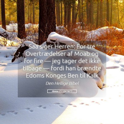 Picture 05 - Amos 2:1 DA1871 - Saa siger Herren: For tre Overtrædelser af Moab - Bible Verse Picture