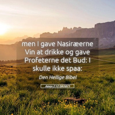 Picture 05 - Amos 2:12 DA1871 - men I gave Nasiræerne Vin at drikke og gave - Bible Verse Picture