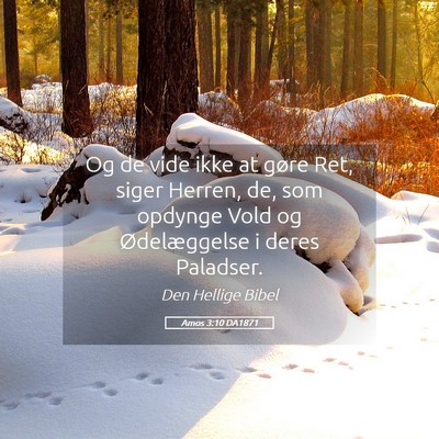 Picture 05 - Amos 3:10 DA1871 - Og de vide ikke at gøre Ret, siger Herren, de, - Bible Verse Picture