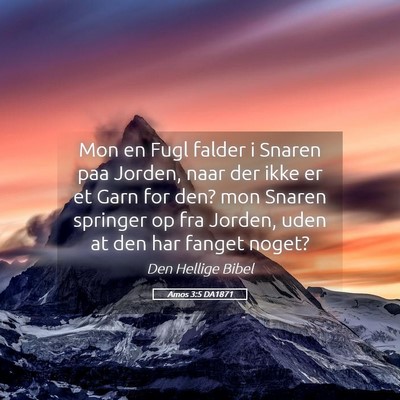 Picture 05 - Amos 3:5 DA1871 - Mon en Fugl falder i Snaren paa Jorden, naar der - Bible Verse Picture