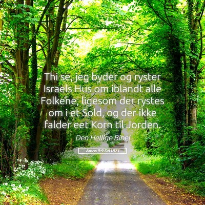 Picture 05 - Amos 9:9 DA1871 - Thi se, jeg byder og ryster Israels Hus om - Bible Verse Picture