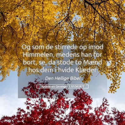 Picture 05 - Apostlenes Gerninger 1:10 DA1871 - Og som de stirrede op imod Himmelen, medens han - Bible Verse Picture