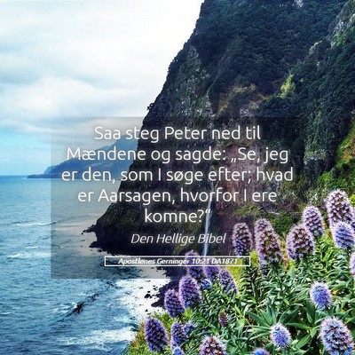 Picture 05 - Apostlenes Gerninger 10:21 DA1871 - Saa steg Peter ned til Mændene og sagde: „Se, - Bible Verse Picture