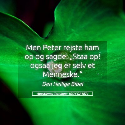 Picture 05 - Apostlenes Gerninger 10:26 DA1871 - Men Peter rejste ham op og sagde: „Staa op! - Bible Verse Picture