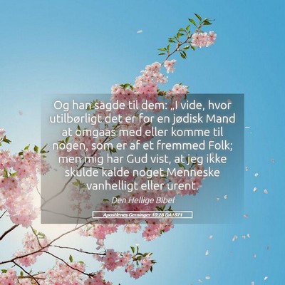 Picture 05 - Apostlenes Gerninger 10:28 DA1871 - Og han sagde til dem: „I vide, hvor - Bible Verse Picture