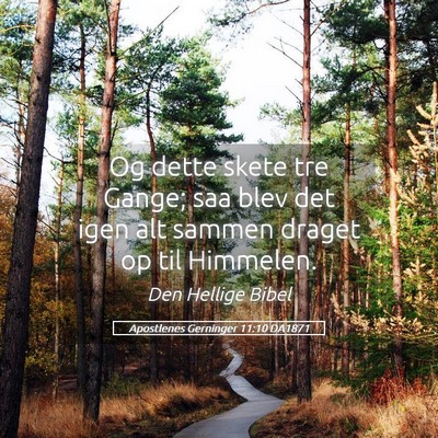 Picture 05 - Apostlenes Gerninger 11:10 DA1871 - Og dette skete tre Gange; saa blev det igen alt - Bible Verse Picture