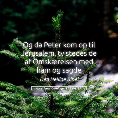 Picture 05 - Apostlenes Gerninger 11:2 DA1871 - Og da Peter kom op til Jerusalem, tvistedes de af - Bible Verse Picture