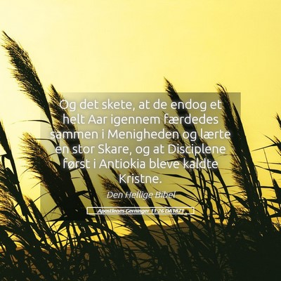 Picture 05 - Apostlenes Gerninger 11:26 DA1871 - Og det skete, at de endog et helt Aar igennem - Bible Verse Picture