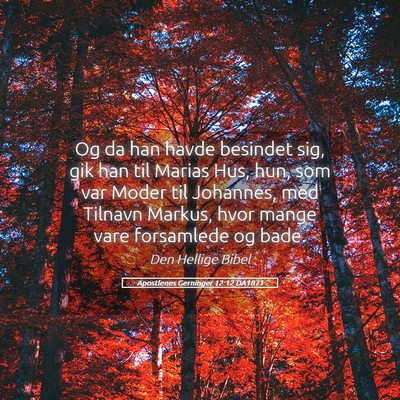 Picture 05 - Apostlenes Gerninger 12:12 DA1871 - Og da han havde besindet sig, gik han til Marias - Bible Verse Picture