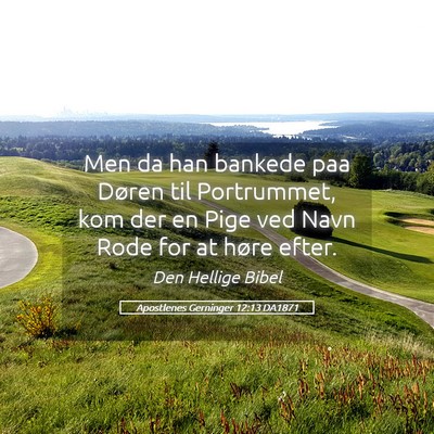 Picture 05 - Apostlenes Gerninger 12:13 DA1871 - Men da han bankede paa Døren til Portrummet, kom - Bible Verse Picture