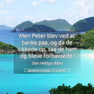 Picture 05 - Apostlenes Gerninger 12:16 DA1871 - Men Peter blev ved at banke paa, og da de lukkede - Bible Verse Picture