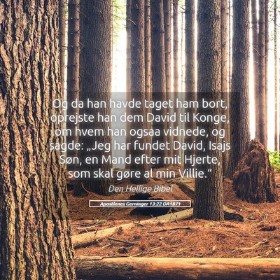 Picture 05 - Apostlenes Gerninger 13:22 DA1871 - Og da han havde taget ham bort, oprejste han dem - Bible Verse Picture