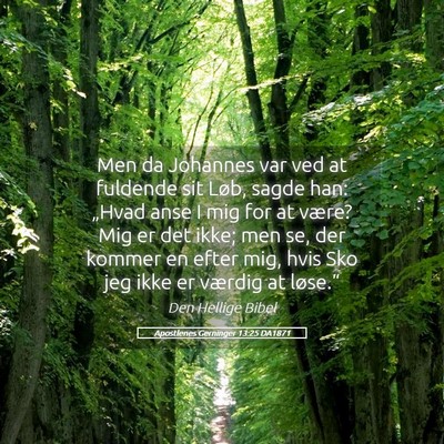 Picture 05 - Apostlenes Gerninger 13:25 DA1871 - Men da Johannes var ved at fuldende sit Løb, - Bible Verse Picture