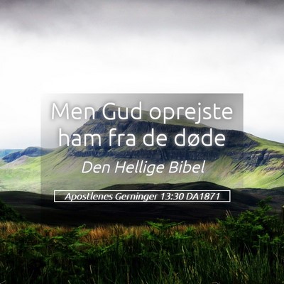 Picture 05 - Apostlenes Gerninger 13:30 DA1871 - Men Gud oprejste ham fra de - Bible Verse Picture
