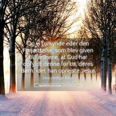Picture 05 - Apostlenes Gerninger 13:32 DA1871 - Og vi forkynde eder den Forjættelse, som blev - Bible Verse Picture