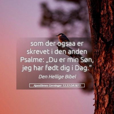 Picture 05 - Apostlenes Gerninger 13:33 DA1871 - som der ogsaa er skrevet i den anden Psalme: - Bible Verse Picture
