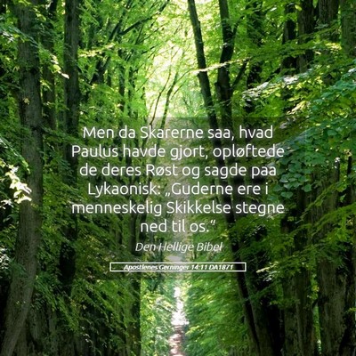 Picture 05 - Apostlenes Gerninger 14:11 DA1871 - Men da Skarerne saa, hvad Paulus havde gjort, - Bible Verse Picture