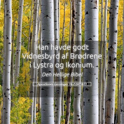 Picture 05 - Apostlenes Gerninger 16:2 DA1871 - Han havde godt Vidnesbyrd af Brødrene i Lystra - Bible Verse Picture