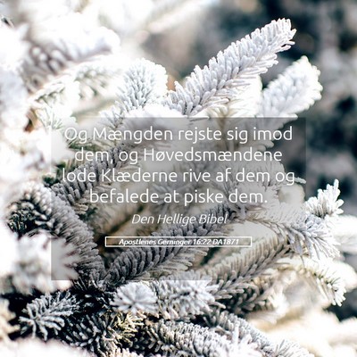 Picture 05 - Apostlenes Gerninger 16:22 DA1871 - Og Mængden rejste sig imod dem, og - Bible Verse Picture